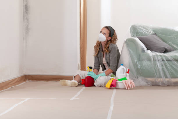 Reliable Mold Inspection contractor in Iselin, NJ by WQB Mold Removal